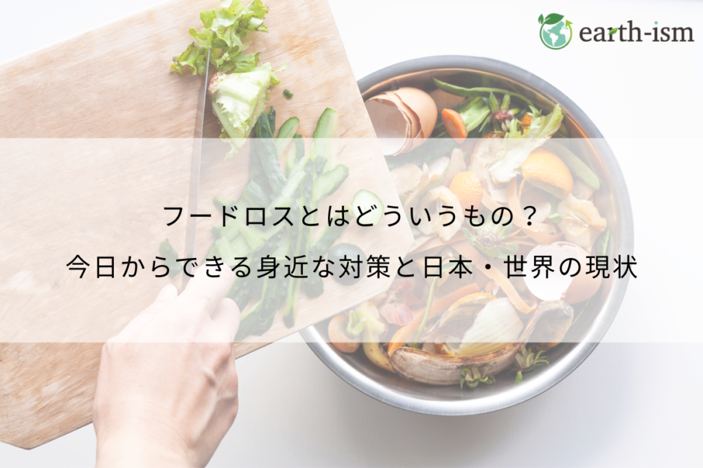 フードロスとは?今日からできる身近な対策と日本・世界の現状