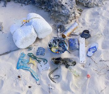 海洋プラスチックとは？地球環境にとってプラスチックが良くない理由