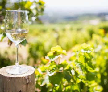 自然派ワインとは？ビオワイン、オーガニックワイン、亜硫酸塩無添加ワイとの違い