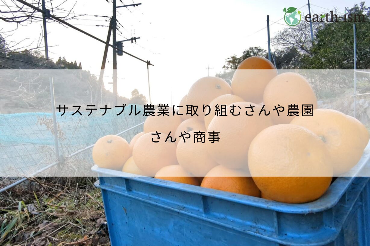 サステナブル農業に取り組むさんや農園 - さんや商事