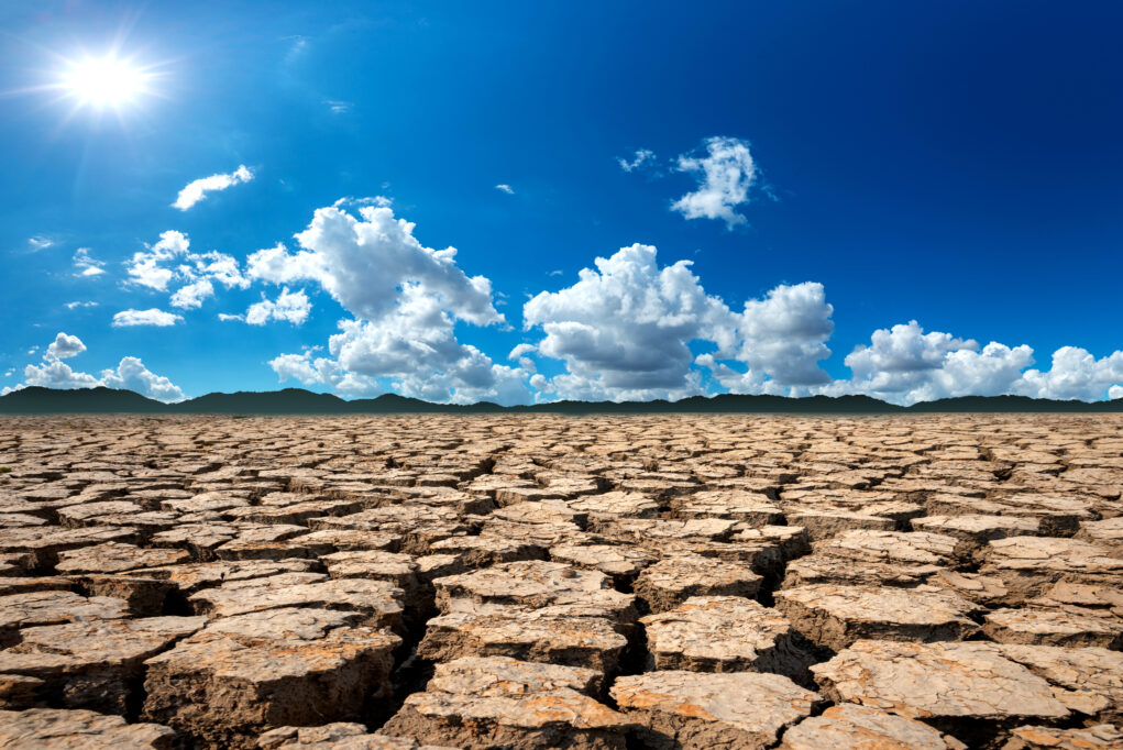 カーボンフットプリントとは｜数値を使った日本企業の取り組み事例と個人でも測定できるアプリをご紹介