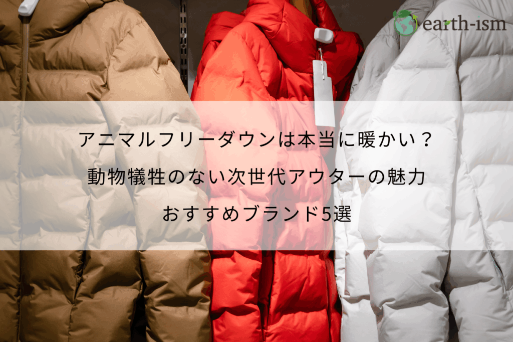 アニマルフリーダウンは本当に暖かい？動物犠牲のない次世代アウターの魅力とおすすめブランド5選