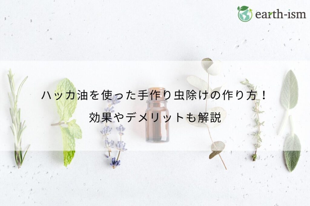 ハッカ油を使った手作り虫除けの作り方！効果やデメリットも解説