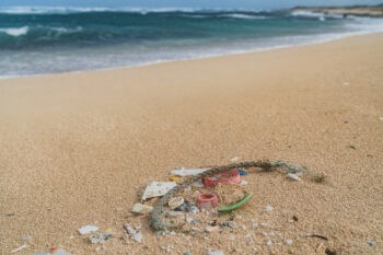 マイクロプラスチックが与える人体の影響｜ヒトの精巣からも検出、各国が急ぐ廃棄への対策を解説