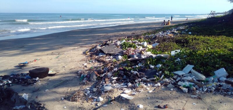 プラスチックごみの現状