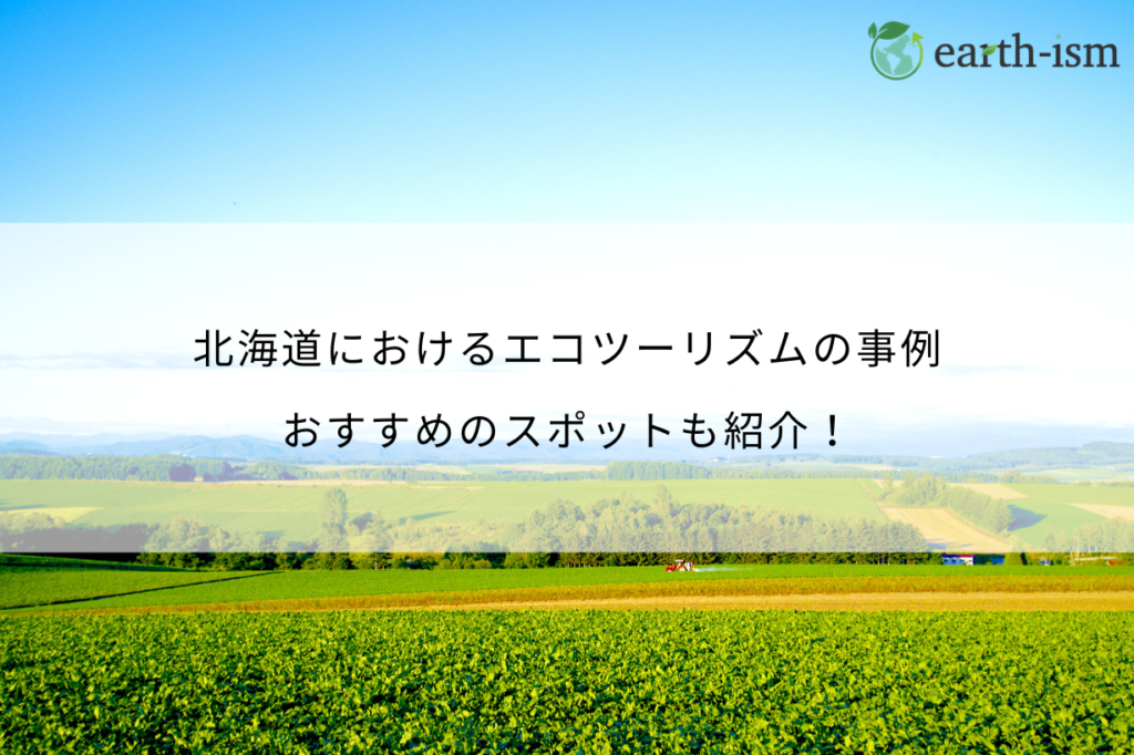 北海道におけるエコツーリズムの事例を紹介!人気場所や注意点も解説