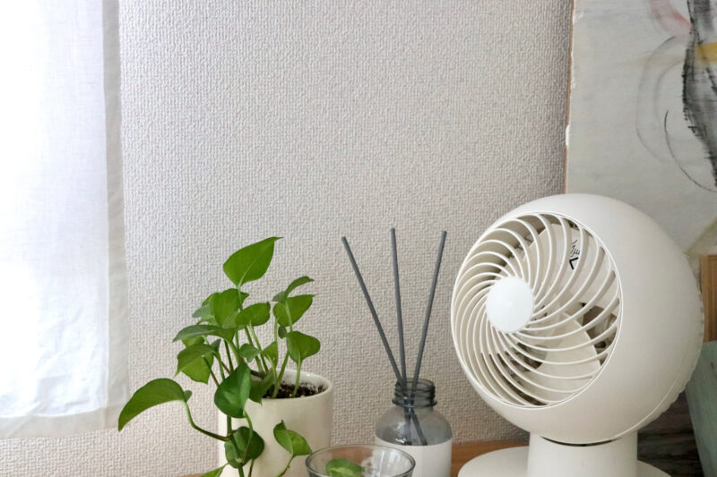「なんかフラフラする…」 子どもの熱中症、親が知っておきたい予防と対処のすべて