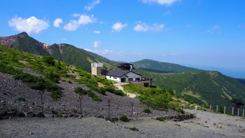 厳しい暑さで変化する最新の夏の過ごし方