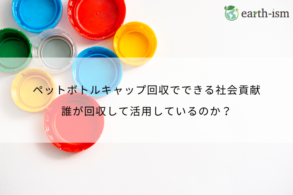 ペットボトルキャップ回収でできる社会貢献｜回収の現状・最新事例・今日からできる方法