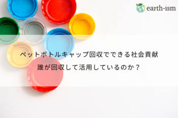 ペットボトルキャップ回収でできる社会貢献｜回収の現状・最新事例・今日からできる方法