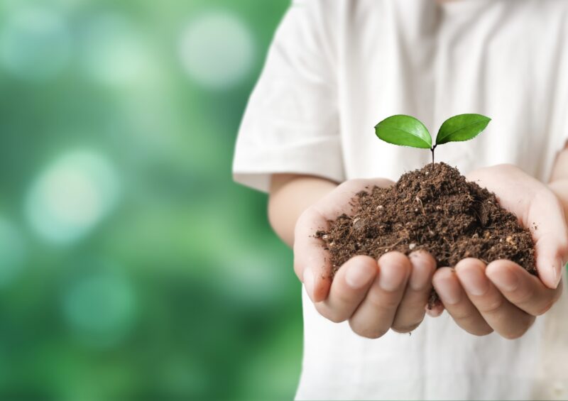 千葉県が実施するキョン対策とは?