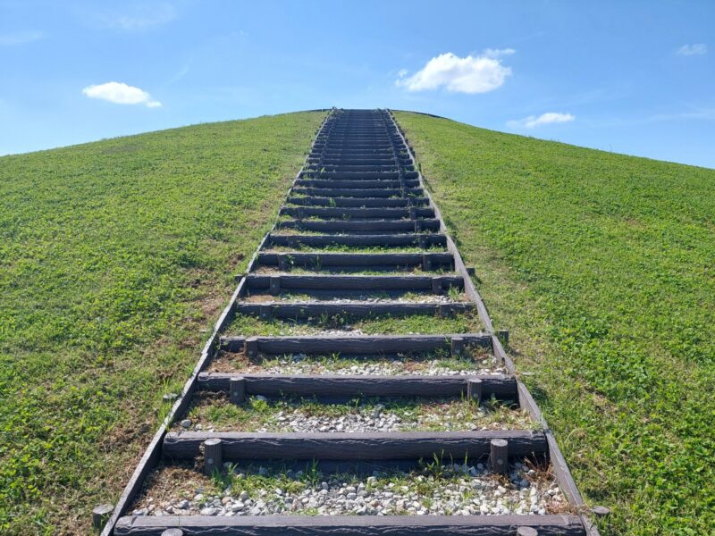 キョンの駆除に対する賛否両論