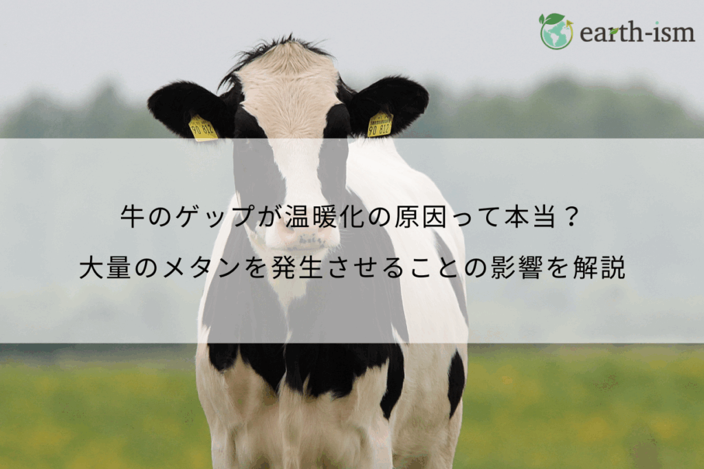 牛のゲップが温暖化の原因って本当？いま世界が取り組むべきもう一歩のエコ対策