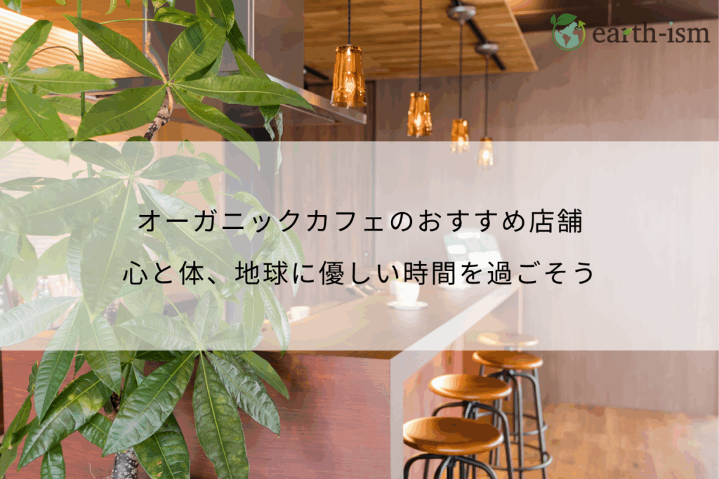 オーガニックカフェのおすすめ店舗｜心と体、地球に優しい時間を過ごそう