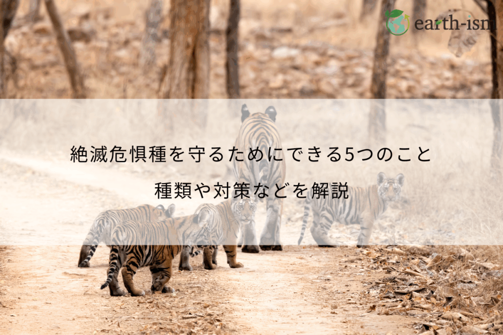 絶滅危惧種を守るためにできる5つのこと│種類や対策などを解説
