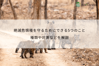 絶滅危惧種を守るためにできる5つのこと│種類や対策などを解説