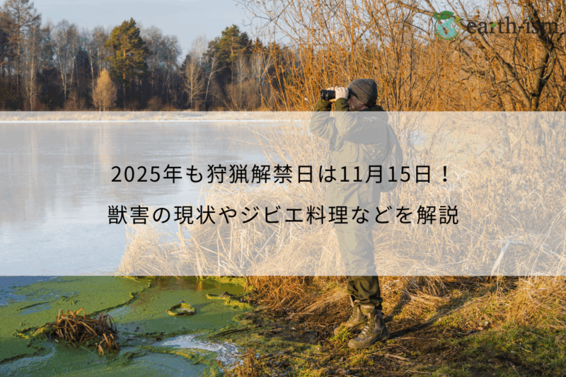 2025年も狩猟解禁日は11月15日!獣害の現状やジビエ料理などを解説