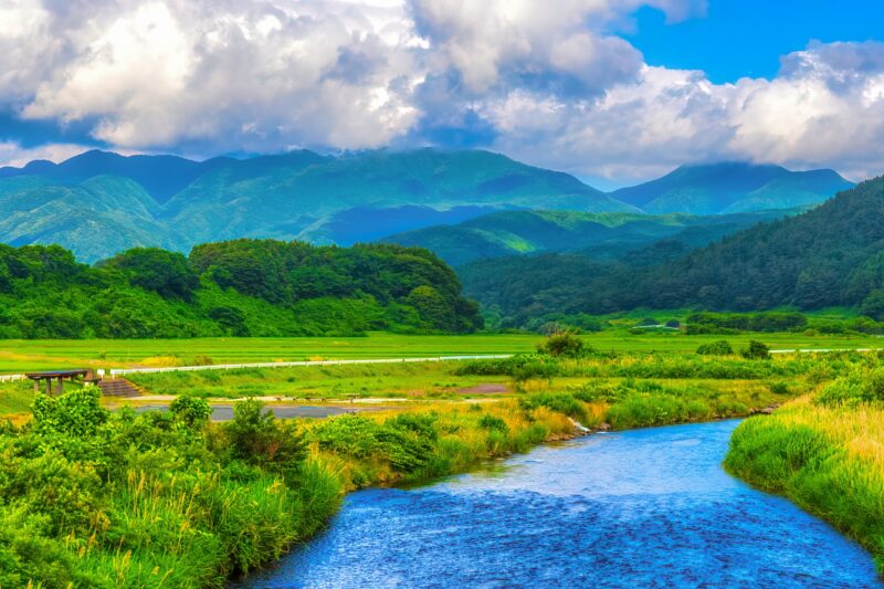 サステナブル観点で魅力!応援したい自治体3選(2025年版)