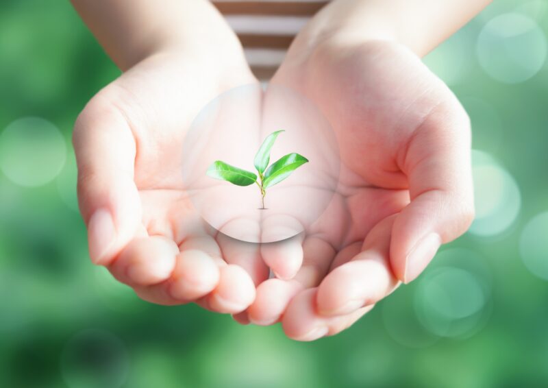 まとめ｜正しい廃棄でソーラーパネルを次世代の資源に変えよう