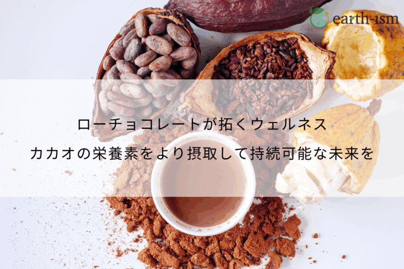 ローチョコレートが拓くウェルネス｜カカオの栄養素をより摂取して持続可能な未来を
