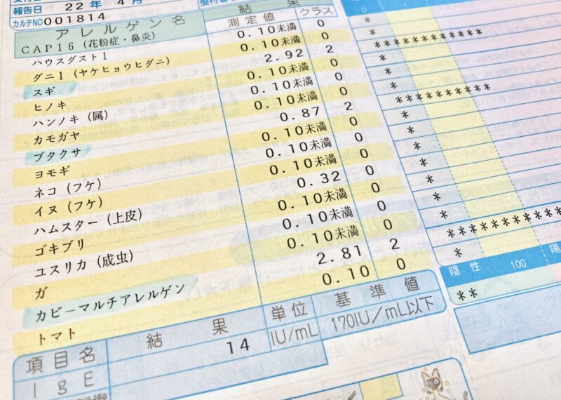 フードテックで進化する食物アレルギー対応食