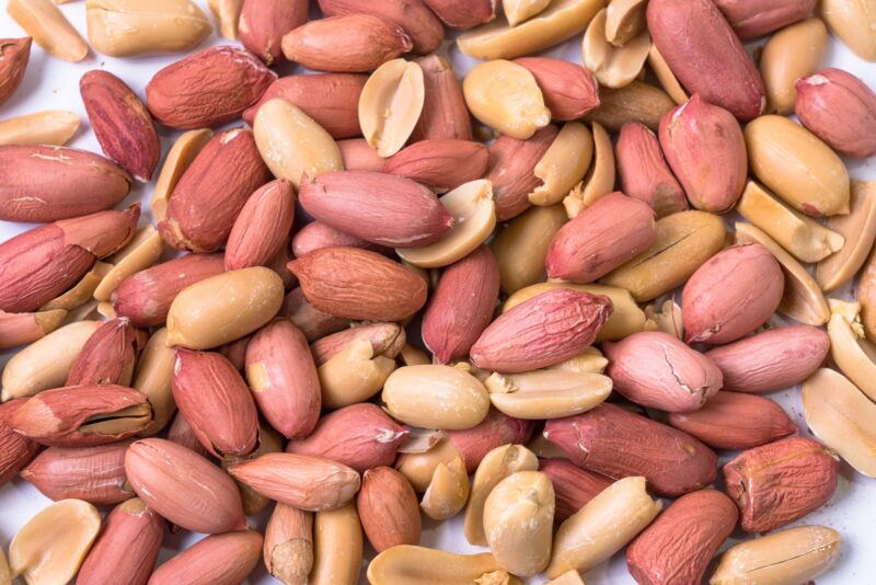 まとめ｜家庭でも学校でも、アレルギーにはフードテックがサポートしていく未来