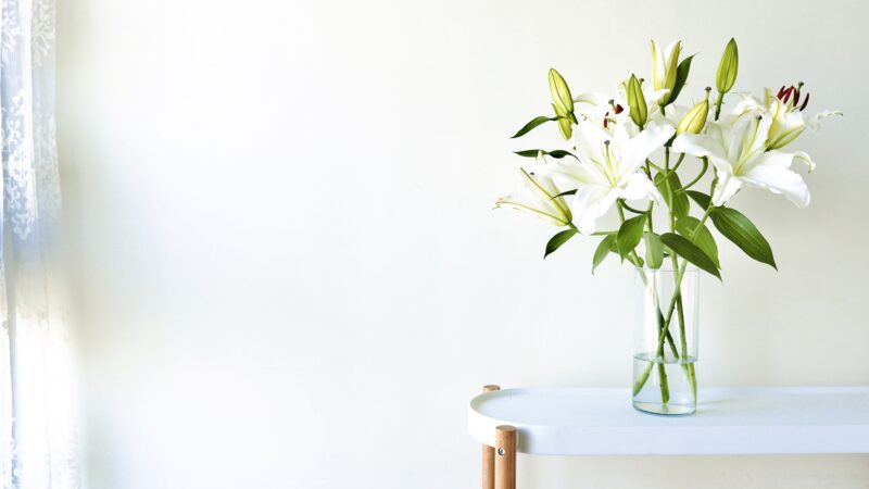 おやすみ前に人気の「定番アロマ」おすすめ5選