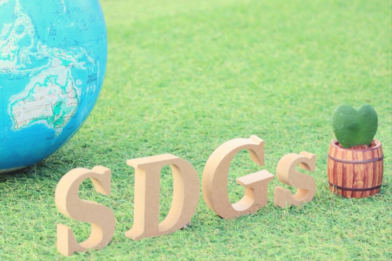 100年後も桜を愛でるために、サステナブルな観点で私たちができること