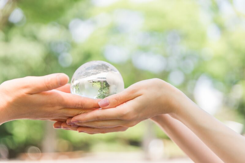 まとめ｜桜の未来を守るために、出来ることから始めよう