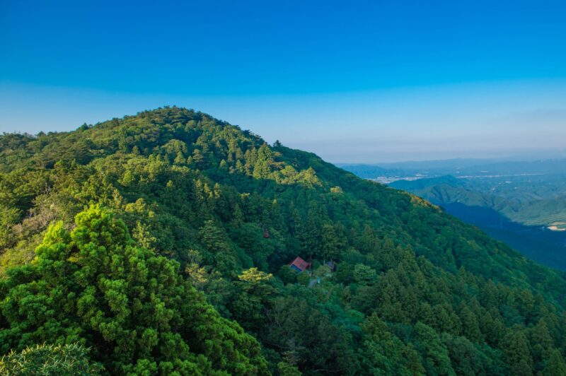 「黄砂」の長い歴史とは?