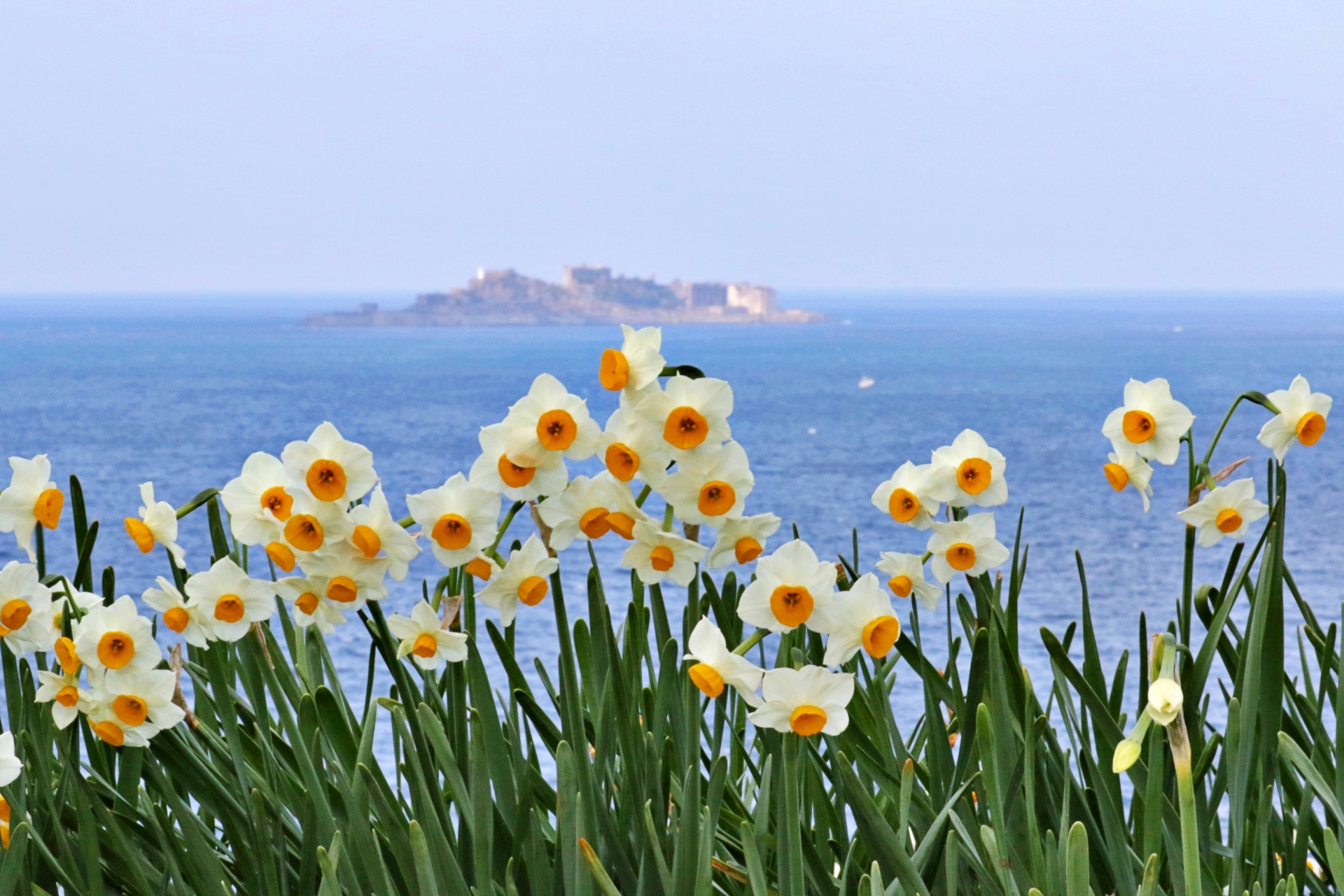まとめ｜廃線跡は、過去と未来の思いを接続する大切な遺産