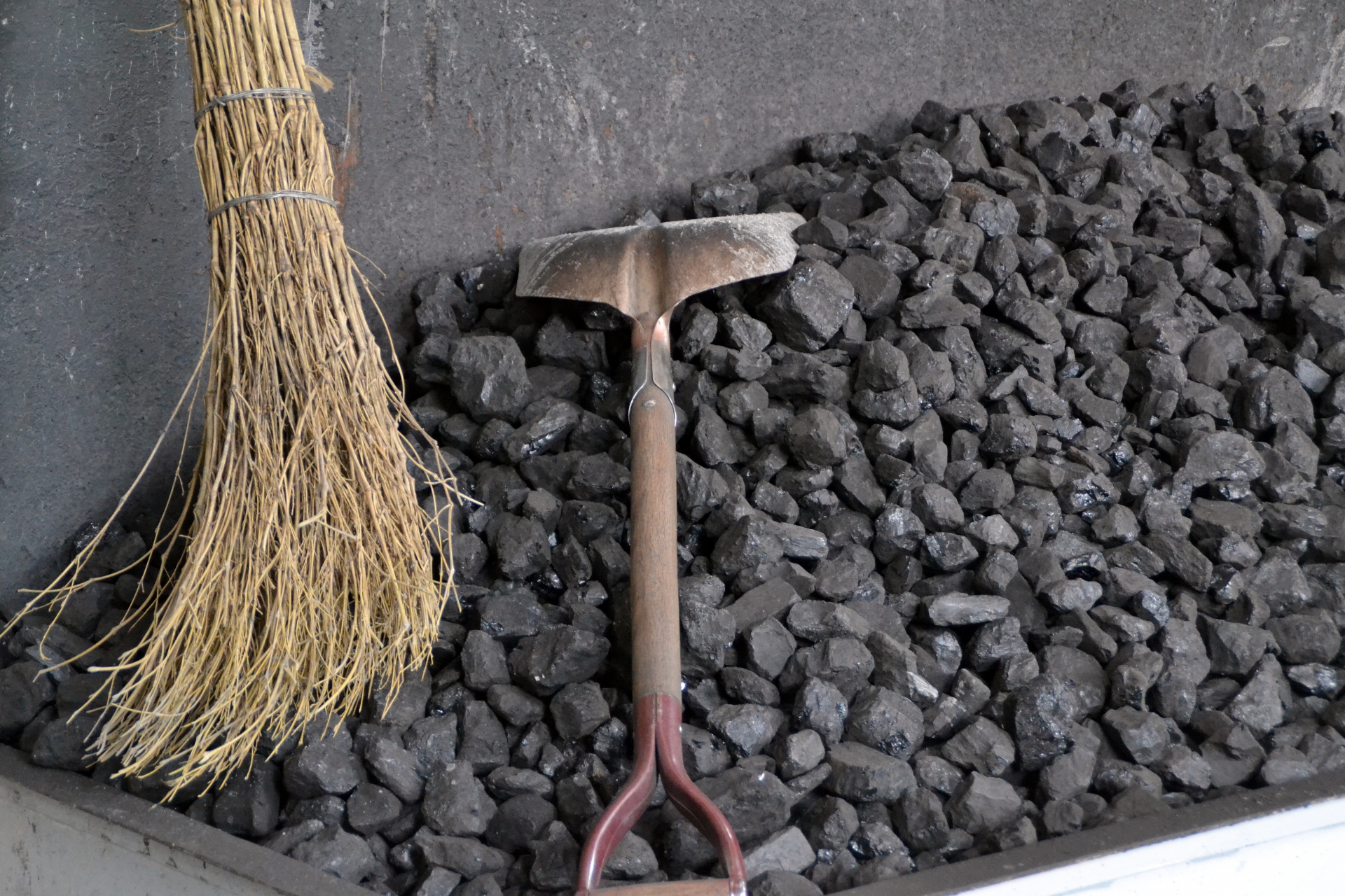 化石燃料に依存しない、日本在来馬が秘める復元の力