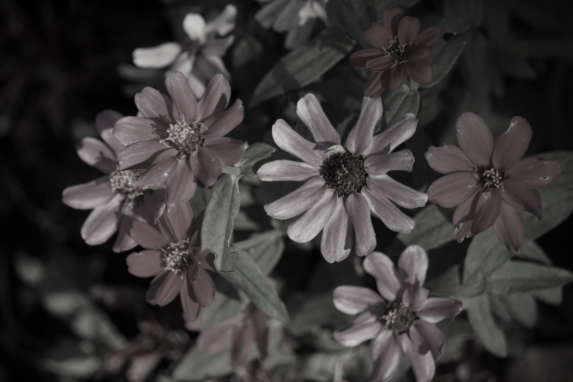 一度失われたら、二度と再現できない