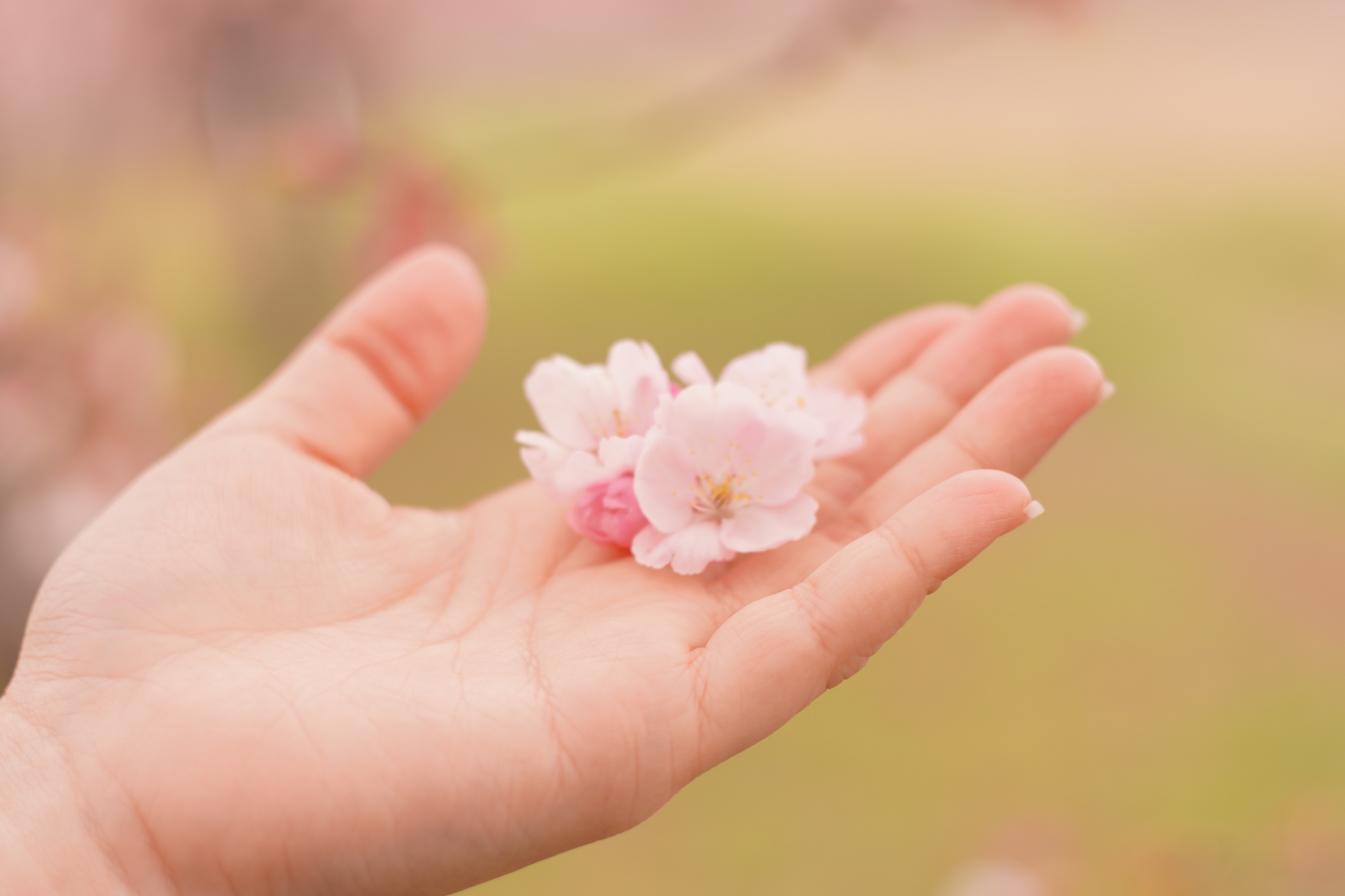 ソーシャルギフトを贈るとき、意識したい3つのこと