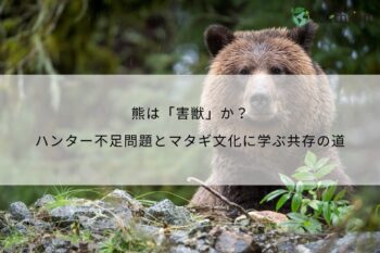 熊は「害獣」か？ハンター不足問題とマタギ文化に学ぶ共存の道
