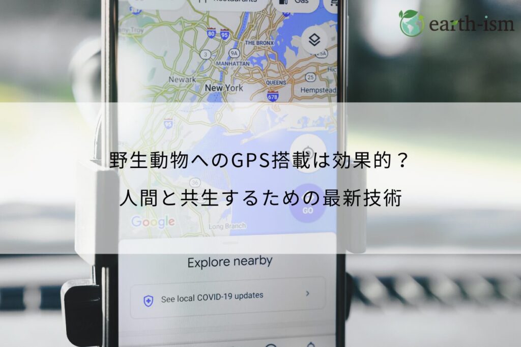 野生動物へのGPS搭載は効果的？人間と共生するための最新技術