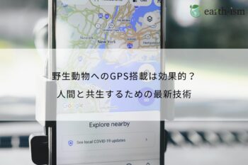 野生動物へのGPS搭載は効果的？人間と共生するための最新技術