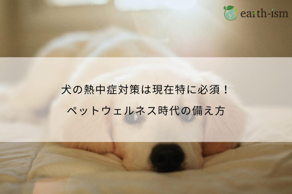 犬の熱中症対策は現在特に必須！ペットウェルネス時代の備え方