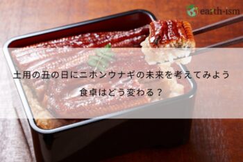 土用の丑の日にニホンウナギの未来を考えてみよう｜食卓はどう変わる？