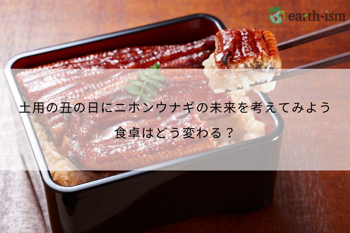 土用の丑の日にニホンウナギの未来を考えてみよう｜食卓はどう変わる？