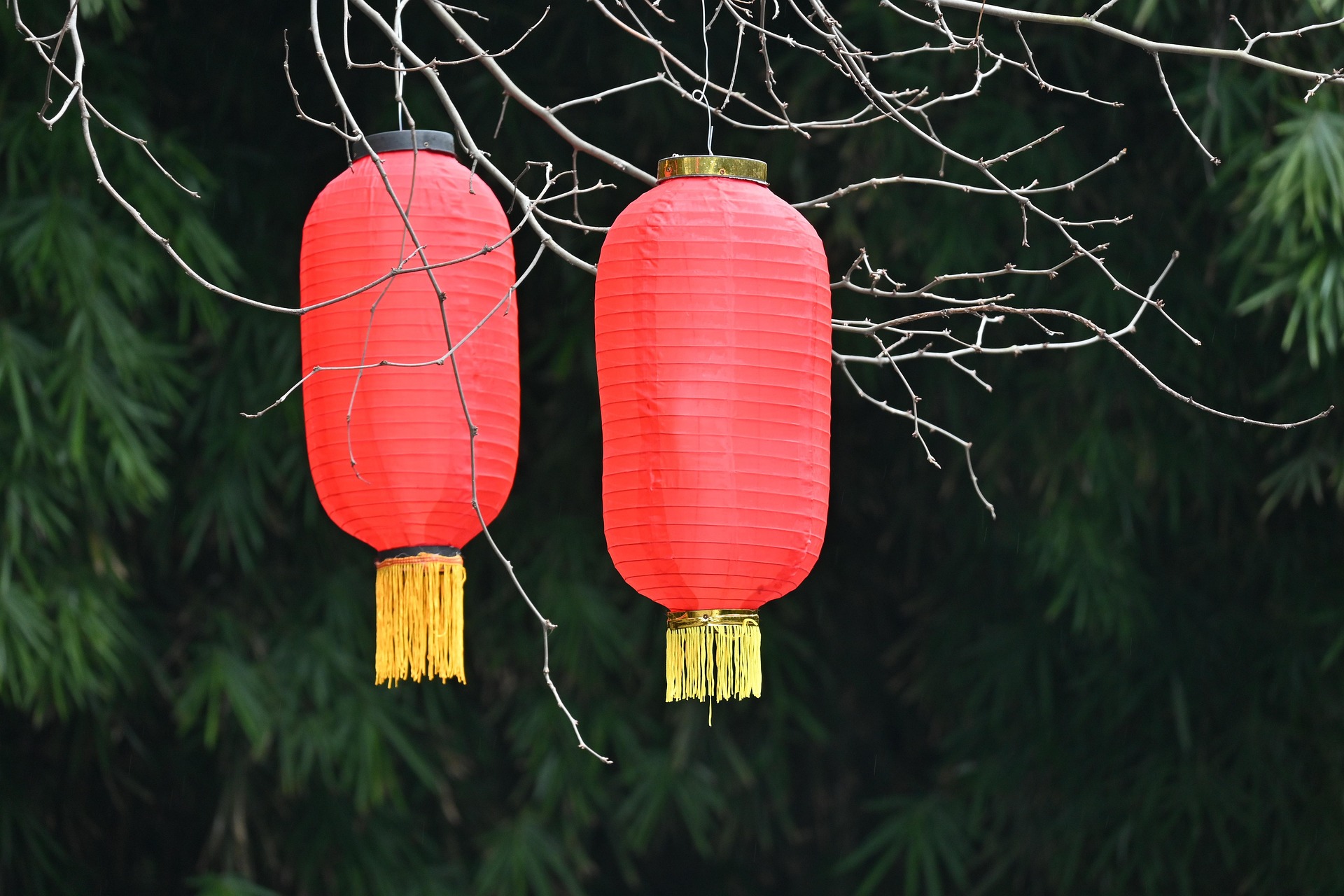 具体例で見る「リベラルな祭り」と伝統の技