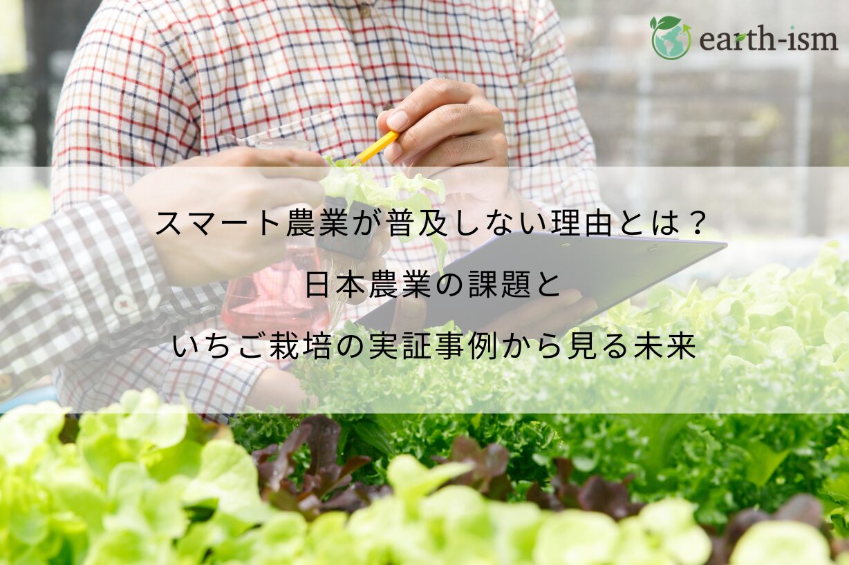 スマート農業が普及しない理由とは？日本農業の課題といちご栽培の実証事例から見る未来