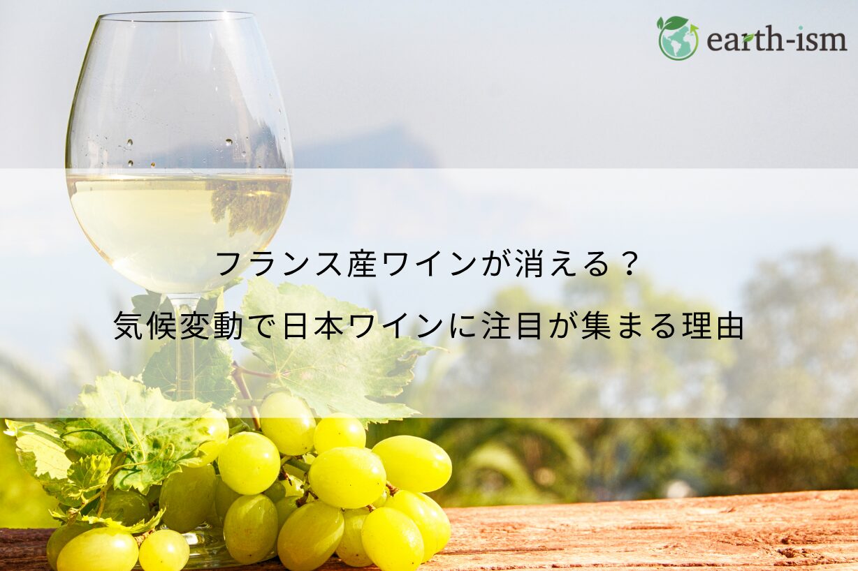 フランス産ワインが消える？気候変動で日本ワインに注目が集まる理由
