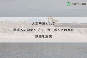 人工干潟とは？環境への効果やブルーカーボンとの関係、課題を解説