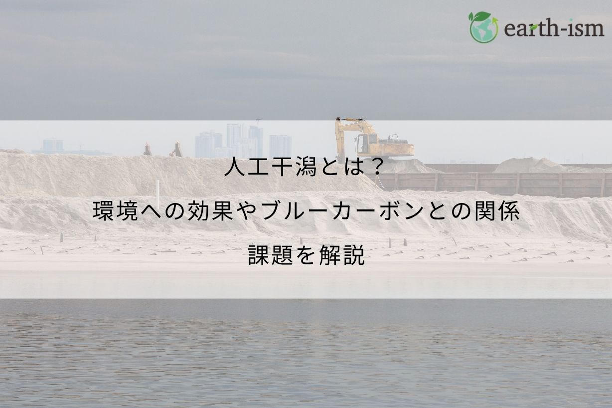 人工干潟とは？環境への効果やブルーカーボンとの関係、課題を解説